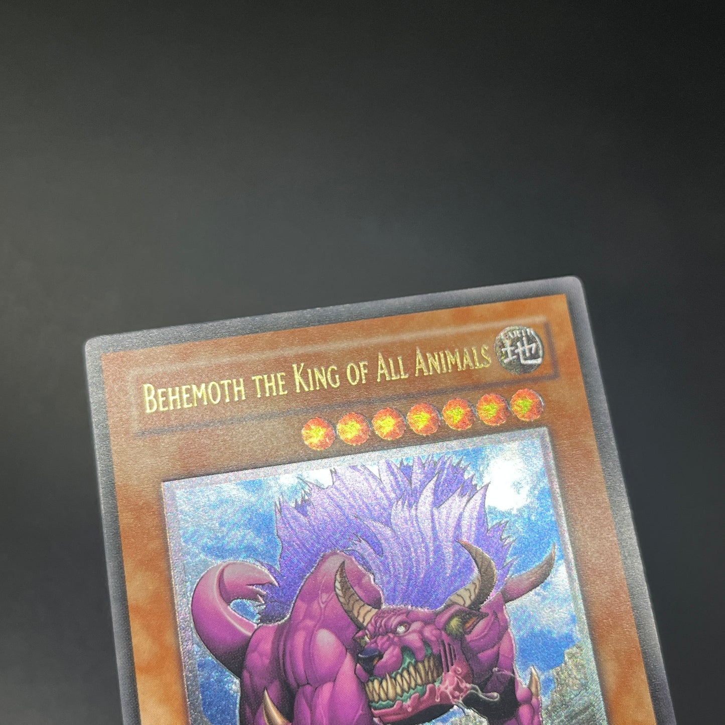 遊戯王 百獣王 ベヒーモス/レリーフ/英語