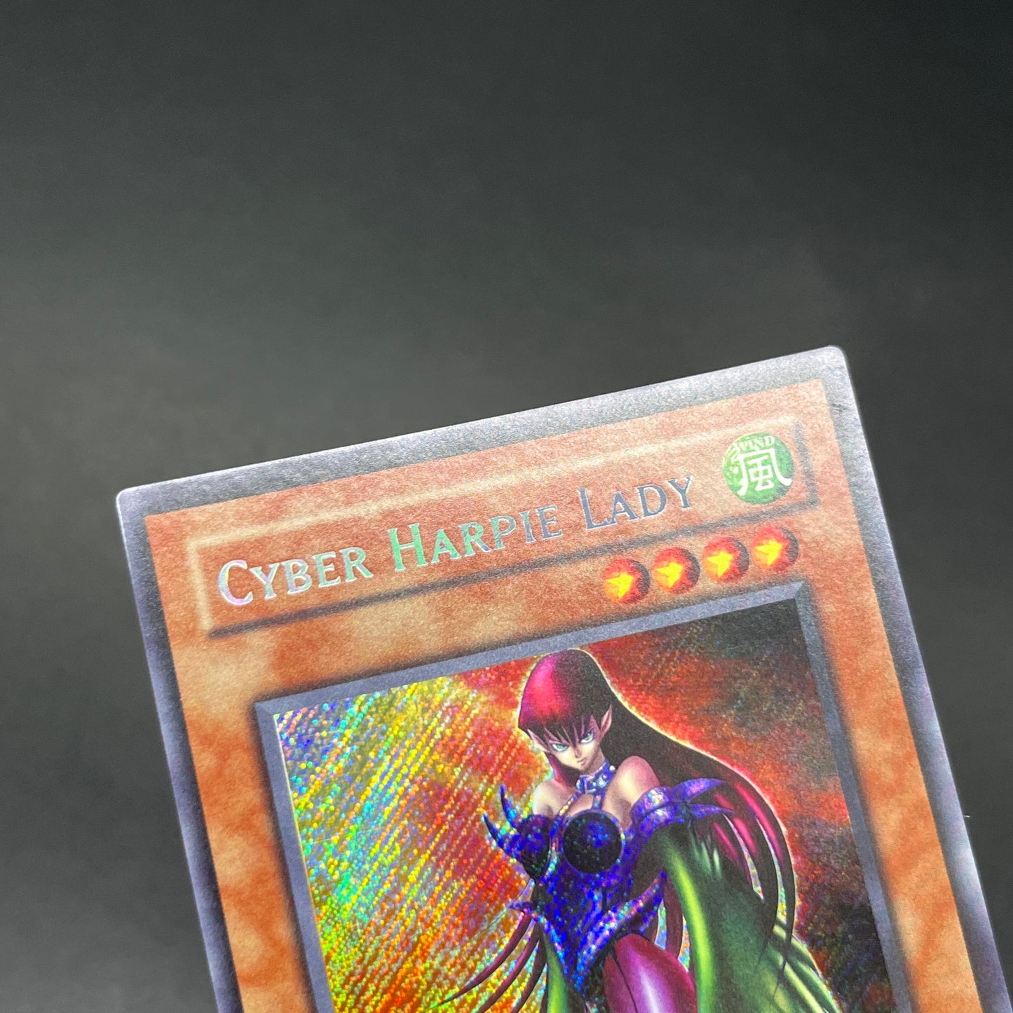 遊戯王 ハーピィ・レディ・SB/シークレット/英語/北米版