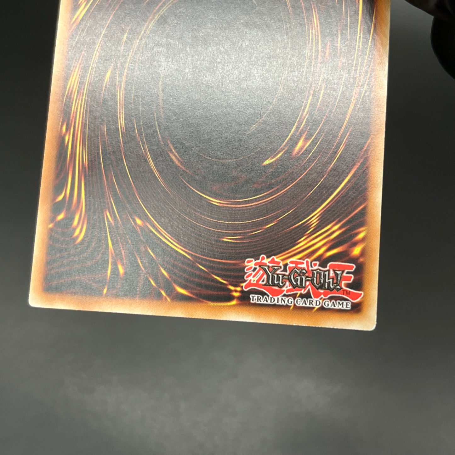 遊戯王 エンシェント・ホーリー・ワイバーン/レリーフ/ドイツ/EU