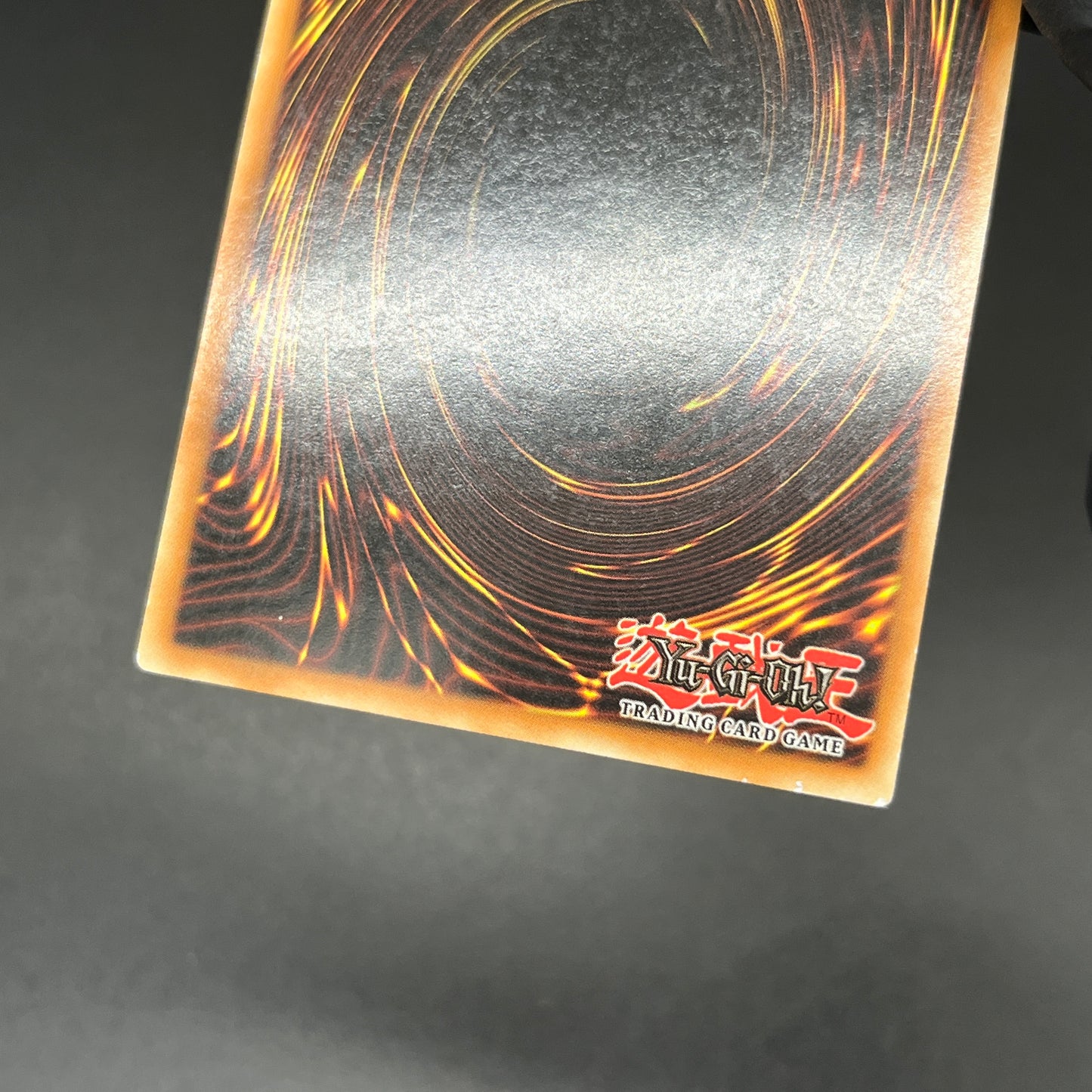 遊戯王 レッドアイズ・ブラックメタルドラゴン/シークレット/イタリア/EU