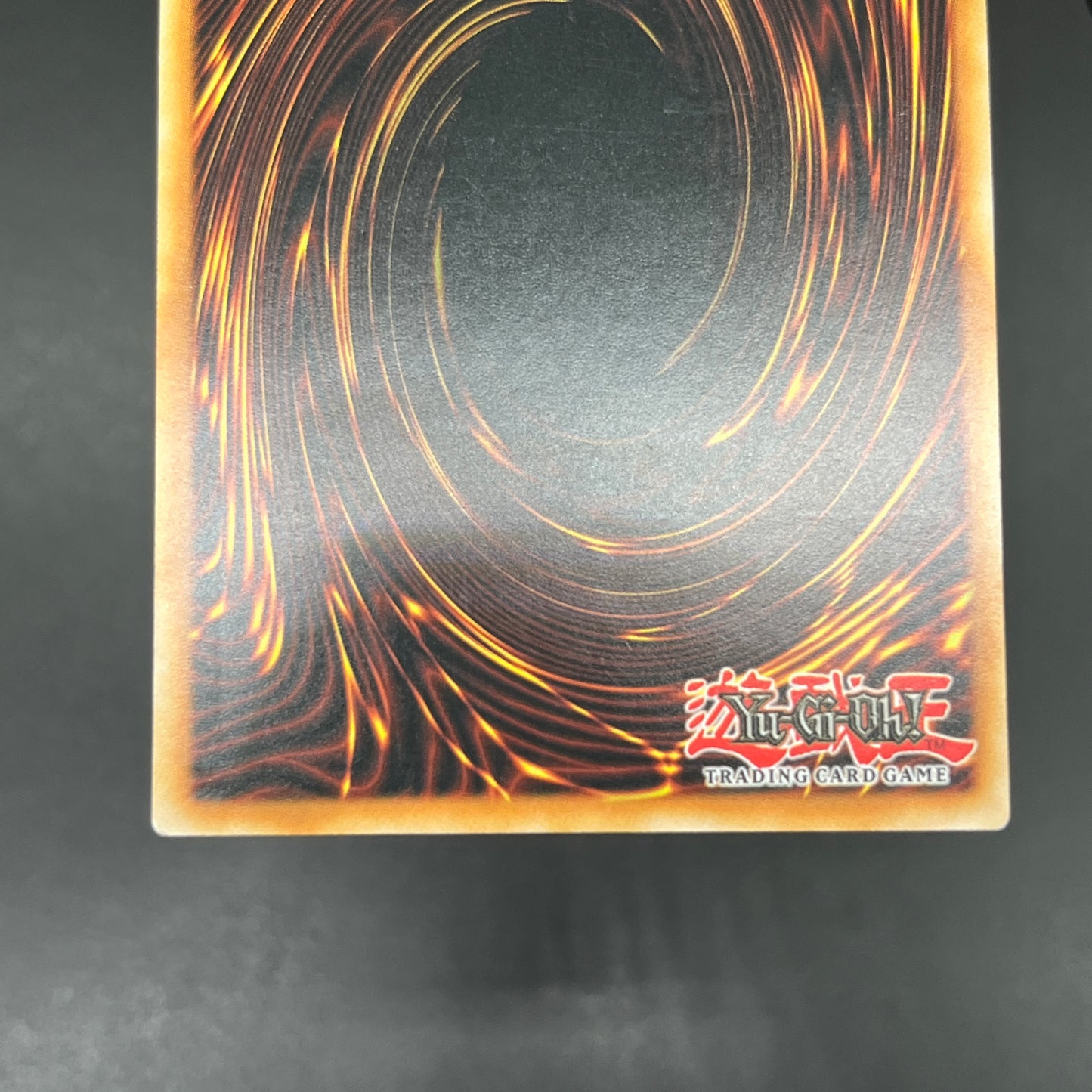 遊戯王 暴走する魔力/レリーフ/ドイツ/1st/EU版