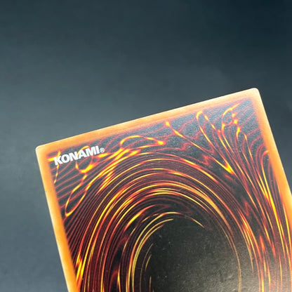 遊戯王　悪魔竜ブラック・デーモンズ・ドラゴン/レリーフ/イタリア/1st/EU版