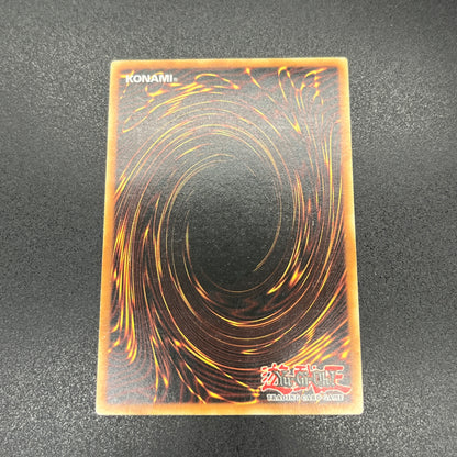 遊戯王　ライトニング・ボルテックス/レリーフ/ドイツ語/EU