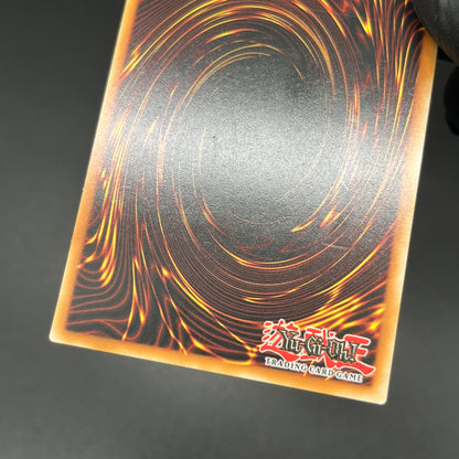 遊戯王　混沌の戦士 カオス・ソルジャー/レリーフ/英語/EU版