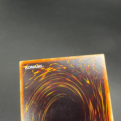 遊戯王　ホーリー・ナイト・ドラゴン/シークレット/英語