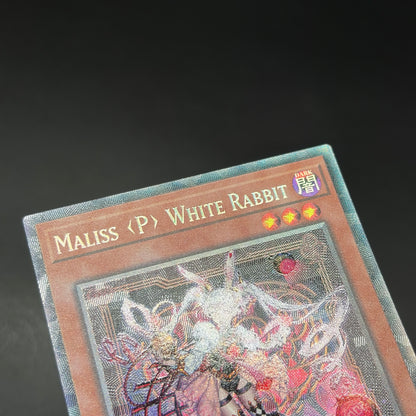 遊戯王　Ｍ∀ＬＩＣＥ＜Ｐ＞Ｗｈｉｔｅ Ｒａｂｂｉｔ/コレクターズ/英語/1st/EU