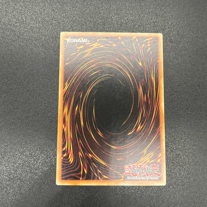 遊戯王　覇王黒竜オッドアイズ・リベリオン・ドラゴン/レリーフ/イタリア/1st/EU版