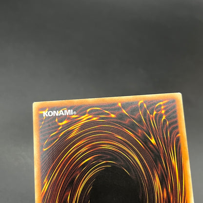 遊戯王　サイクロン・ブーメラン/レリーフ/ドイツ語/EU版