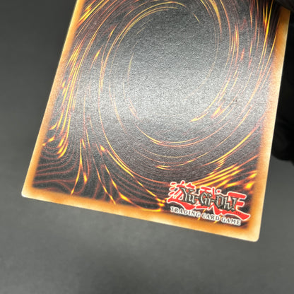 遊戯王　ハネクリボー/レリーフ/ドイツ語/1st/EU版