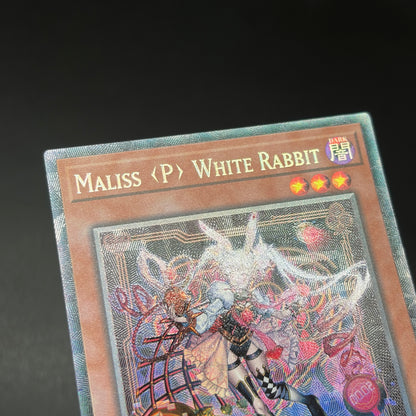 遊戯王　Ｍ∀ＬＩＣＥ＜Ｐ＞Ｗｈｉｔｅ Ｒａｂｂｉｔ/コレクターズ/英語/1st/EU