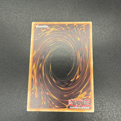 遊戯王　ドラゴンメイド・チェイム/シークレット/英語/1st