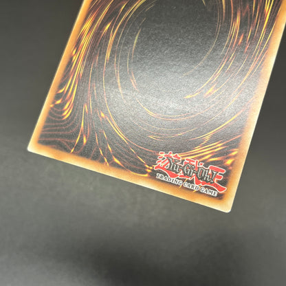 遊戯王　ヒーロー・シグナル/レリーフ/ドイツ語/1st/EU版