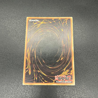 遊戯王　ブラックフェザー・ドラゴン/レリーフ/スペイン/1st/EU版