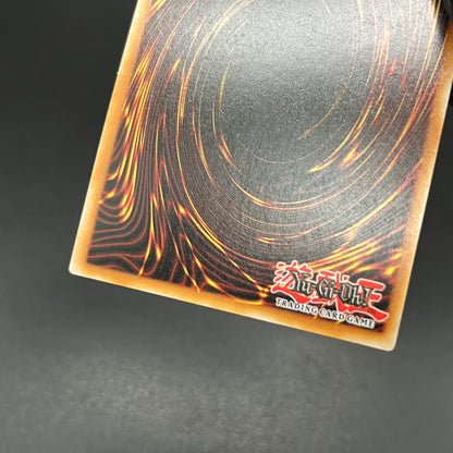 遊戯王　ソドレミコード・グレーシア/コレクターズ/英語/1st/EU版