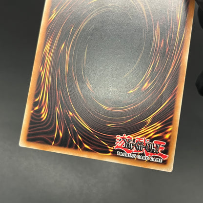 遊戯王　ダーク・ネフティス/レリーフ/ドイツ語/1st/EU版