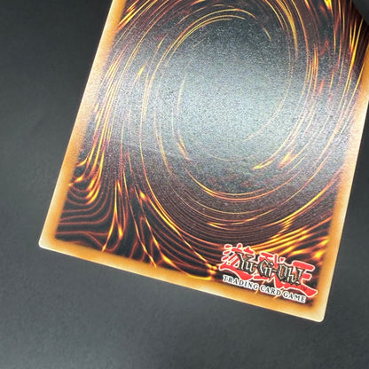 遊戯王　ドラゴンメイド・チェイム/レリーフ/英語/EU版