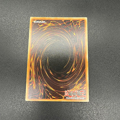 遊戯王　エクソシスター・パークス/コレクターズ/ドイツ/1st/EU版