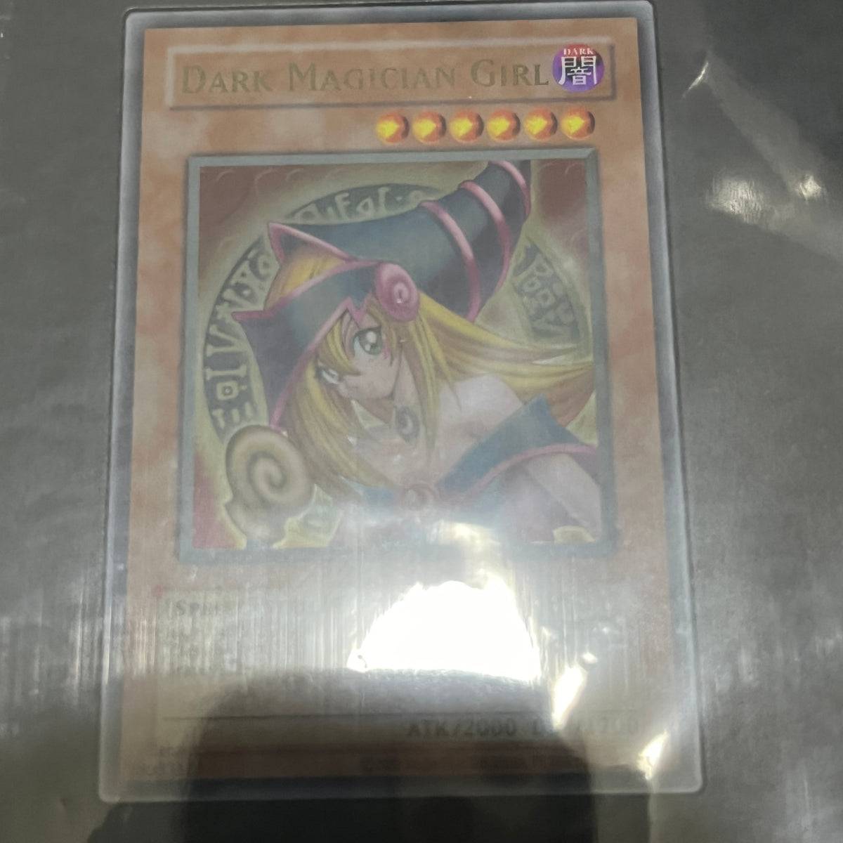 遊戯王 ブラック・マジシャン・ガール ステンレス 英語版 EU