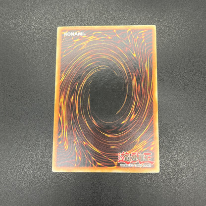 遊戯王　クリアウィング・シンクロ・ドラゴン/レリーフ/イタリア語/1st/EU版