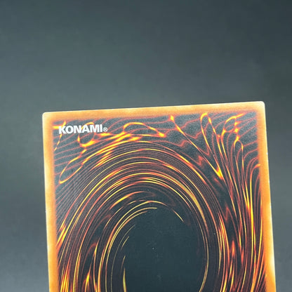 遊戯王　Ｎｏ.５３ 偽骸神 Ｈｅａｒｔ－ｅａｒｔＨ/レリーフ/スペイン/1st/EU版