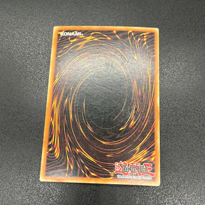 遊戯王　停戦協定/ウルトラ/ドイツ/EU