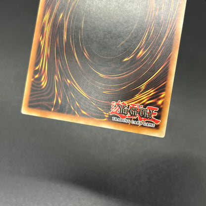 遊戯王　セイヴァー・デモン・ドラゴン/レリーフ/フランス/1st/EU版