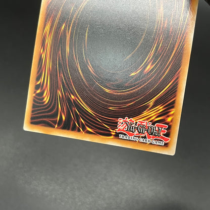 遊戯王　キングス・ナイト/コレクターズ/英語/1st/EU