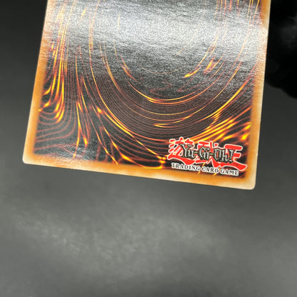 遊戯王　百獣王 ベヒーモス/レリーフ/ドイツ/1st