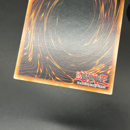 遊戯王　Ｎｏ.５３ 偽骸神 Ｈｅａｒｔ－ｅａｒｔＨ/レリーフ/スペイン/1st/EU版