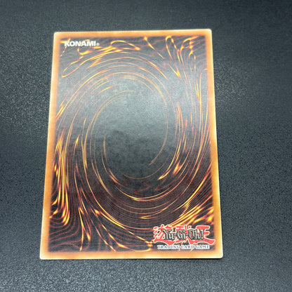 遊戯王　波動竜騎士 ドラゴエクィテス/レリーフ/ドイツ/EU版