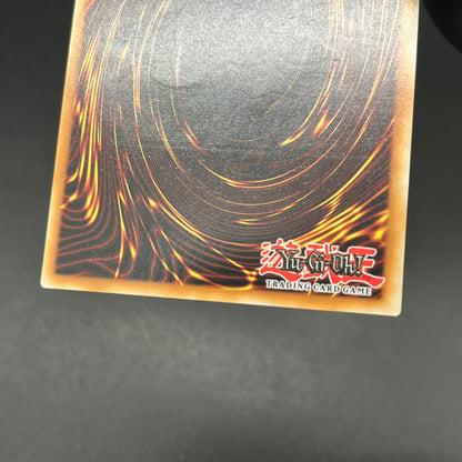 遊戯王　教導の聖女エクレシア/レリーフ/英語/EU版