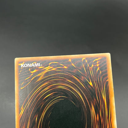 遊戯王　ブラックフェザー・ドラゴン/レリーフ/スペイン/1st/EU版