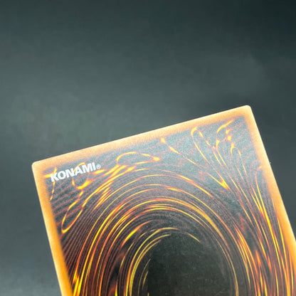 遊戯王　幻魔の殉教者/レリーフ/ドイツ語/EU版