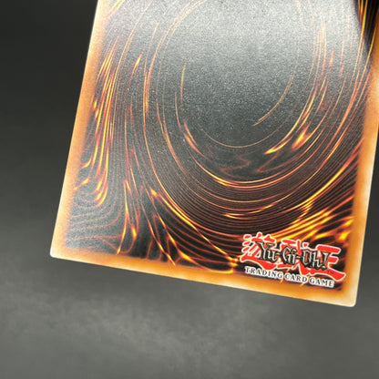 遊戯王　超雷龍－サンダー・ドラゴン/レリーフ/フランス/EU版