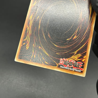 遊戯王　与奪の首飾り/レリーフ/ドイツ語/EU版