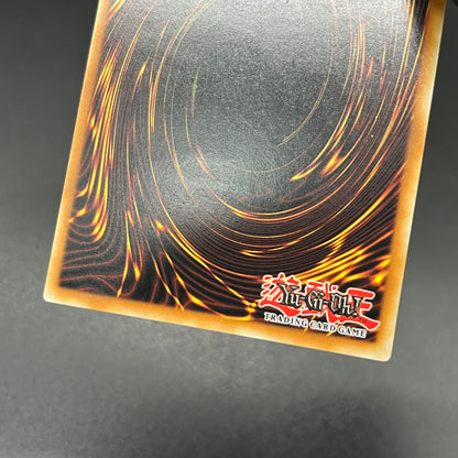 遊戯王　マスターモンク/レリーフ/ドイツ語/1st/EU版