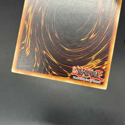 遊戯王　ナチュル・バンブーシュート/レリーフ/ドイツ/1st/EU版