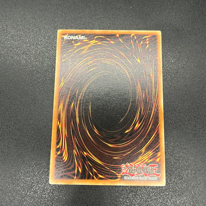 遊戯王　天罰/レリーフ/ドイツ/EU版