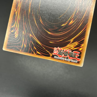 遊戯王　エクソシスター・パークス/コレクターズ/ドイツ/1st/EU版