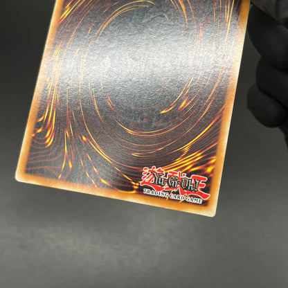 遊戯王　フレンドッグ/レリーフ/英語/北米版