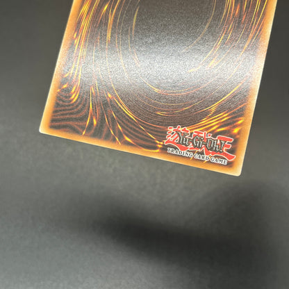 遊戯王　白き森のアステーリャ/クオシク/英語/1st/北米版