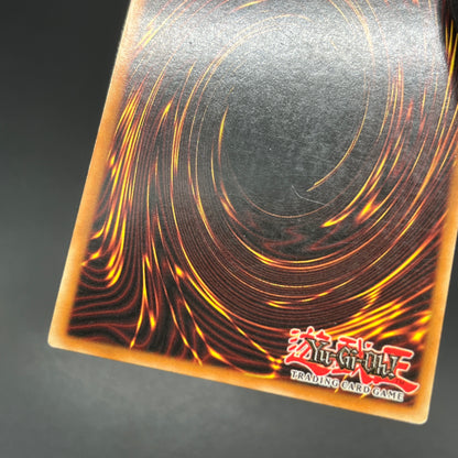 遊戯王　真紅眼の黒竜/ウルトラ/英語/1st