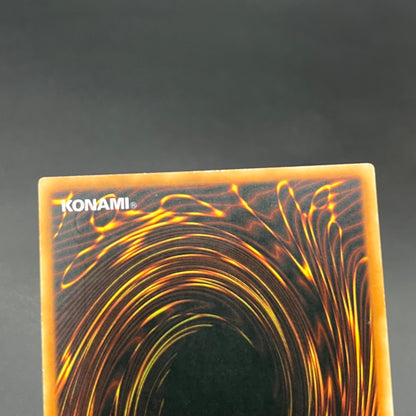 遊戯王　ブラックフェザー・ドラゴン/レリーフ/スペイン/1st/EU版