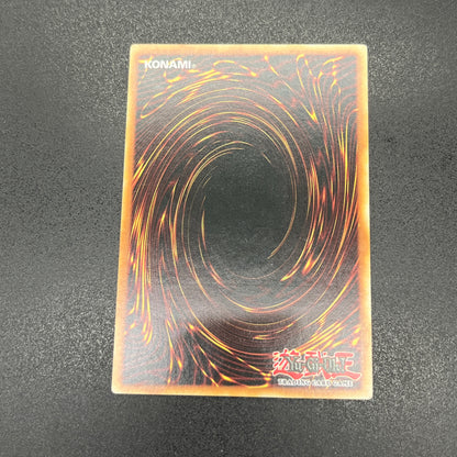 遊戯王　サイバーポッド/レリーフ/イタリア語/EU版