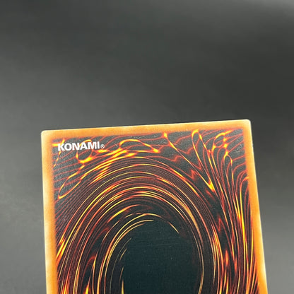 遊戯王　ダーク・レクイエム・エクシーズ・ドラゴン/レリーフ/英語/EU版