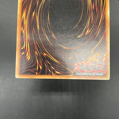 遊戯王　妨害電波/レリーフ/イタリア/EU版