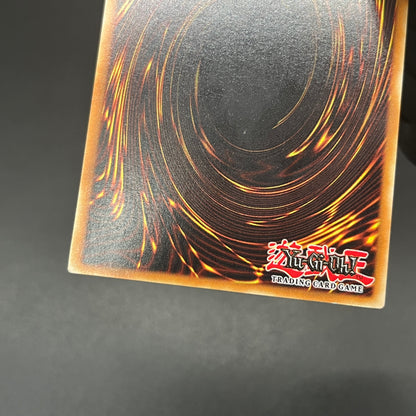 遊戯王　ホーリー・ナイト・ドラゴン/シークレット/英語