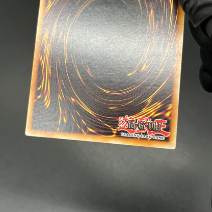 遊戯王　レア・ヴァリュー/レリーフ/ドイツ/EU版