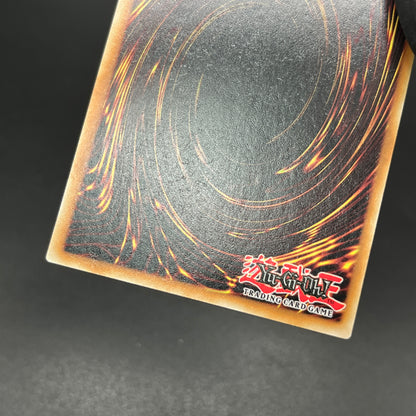 遊戯王　粛声なる竜神サフィラ/クオシク/英語/1st/EU