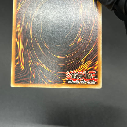 遊戯王　連鎖炸薬/レリーフ/ドイツ/EU版